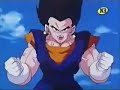 amv-vegetto vs majin buu