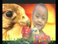 artis desa