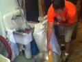 Dogfish Head Chicha