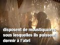 Campagne de prévention contre la malaria