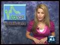 QualityStocks Daily Video 02/12/2007