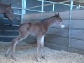 Szdander's First Day