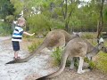 Denmark, Western Australia