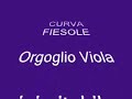 Curva Fiesole