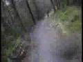 Coed-Y-Brenin Dragons Back