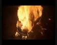 Airola's Movie Junkyard Part 2 - The Swarm