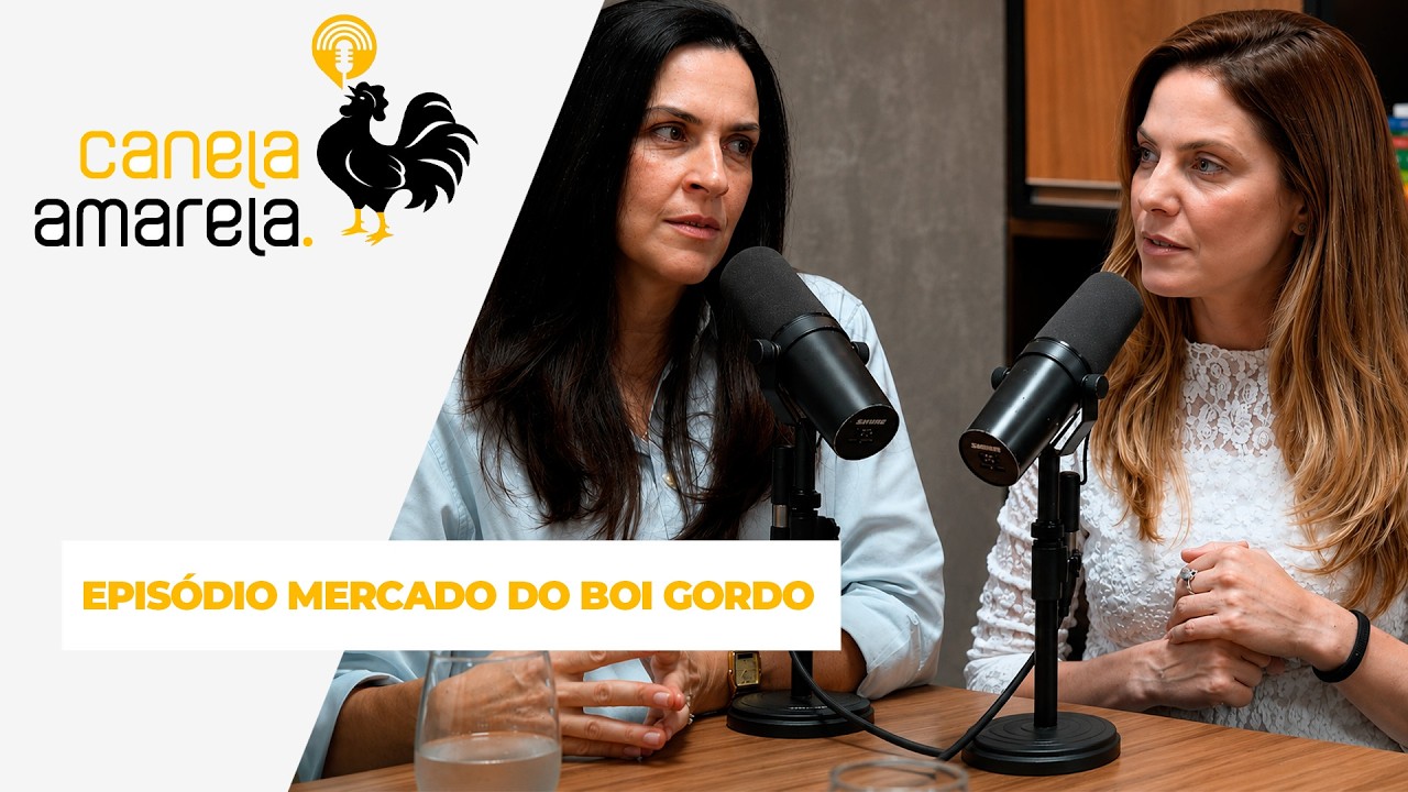 PODCAST CANELA AMARELA - Cenário do boi: gordo Quando chegará o pico de preço?
