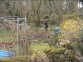 Tree felling in Upperwood Derbyshire