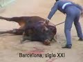 Torutra degenerado 2 Torutra degenerado 2