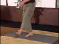 Scott Sonnon Intuflow Intermediate Part 3
