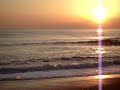 Dolphins feeding in the surf, Nags Head, N.C.