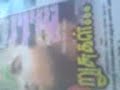Blue Film Tamil, Malayalam