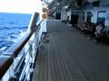 HAL Westerdam Promenade Deck