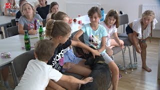 Psí škola na příměstském táboře DDM Magnet Mohelnice