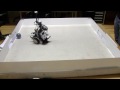 videos de Robot Soccer LEGO NXT Lund University May 2009, game 2