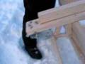 Ver Video