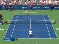 Federer vs. Stepanek