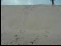 North Carolina Surf