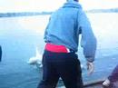 Throwing Coxswain