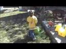 Carter & Tyler Willey Egg Hunt