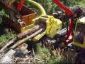 JENZ HEM 581 Cippertruck