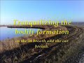 The Foundations of Mindfulness with Bhante Vimalaramsi