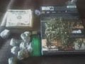black p stone bps fuck the rest