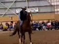 parelli horse training 1 parelli horse training 1