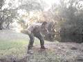 Rob's Wild Safari (part 1)