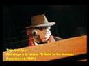 Thijs Van Leer - Tribute to the woman (Homenaje a la mujer)
