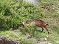 PR2-Parque Natural Alv�o (Agarez - Galegos Da Serra - Arnal)