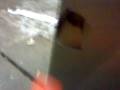 videos de MOV00184.MP4