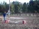 Horses Jumping - Tj and Caity Horses Jumping - Tj and Caity