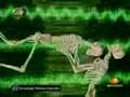 The Best Tecnologia Televisa Deportes Ever