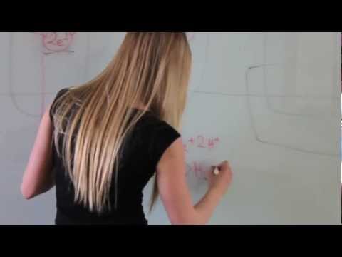 Cellular Respiration - IB Biology HL