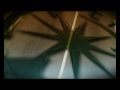 Electric Green Vehicle (School of Electrical and Electronic Engineering, University of Manchester)