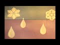 airboyd.tv Department of Defense PIN 27503 AIR MASSES AND FRONTS - THE WARM FRONT DISCUSSES HAZARDS OF THE WARM FRONT AND SHOWS HOW IT FORMS. COVERS NIMBO STRATUS AND STRATUS CLOUD DECKS, SUMMER AND WINTER PATTERNS, AREAS OF INSTABILITY AND STRUCTURAL ICE.