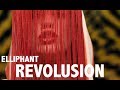 Revolusion (Official Music Video) 