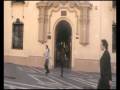 videos de Reminiscencia