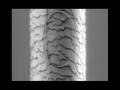 3 of 3   Guiding Light w Nanowires   A Rail for Light