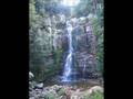 0367035 Australia 3