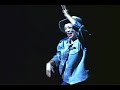 revenge-of-the-dim-sum-dollies-parking-pontianak.html