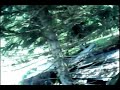 Woodsball flank (paintball)