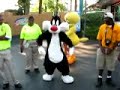 This is n 6 flags