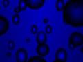 videos de Bubbles and Bagpipes