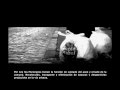 Domenico Sthandier - VALPARAISO INMUNDO