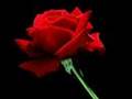 Abdurrahman �n�l  Medineye www vuslatkardesler ile biz