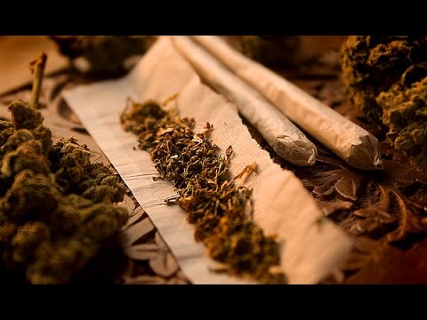 how to effectively grow weed