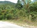 Phangan Real Estate for Sale - L0103-B