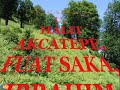 selam karadenize